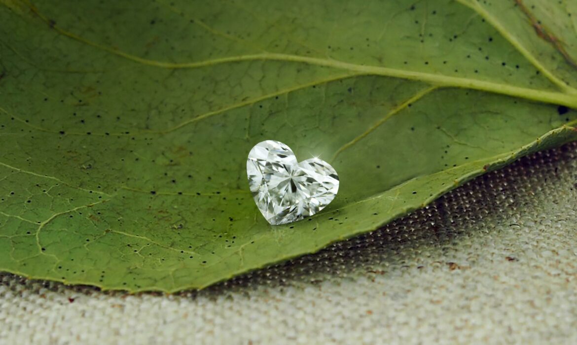 leave with heart shape