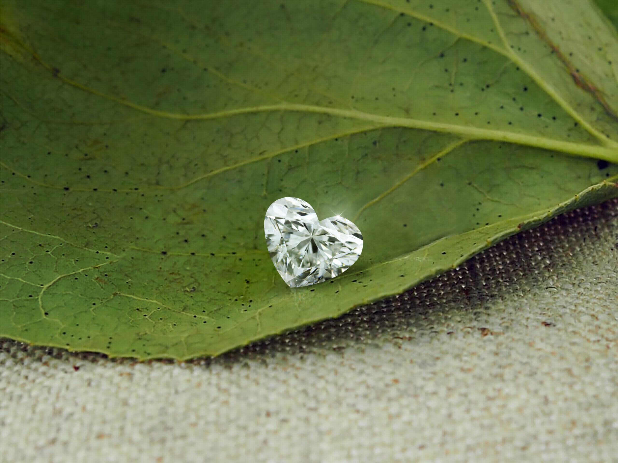 leave with heart shape